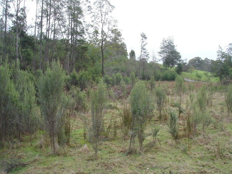 Acacia Hills TAS 7306