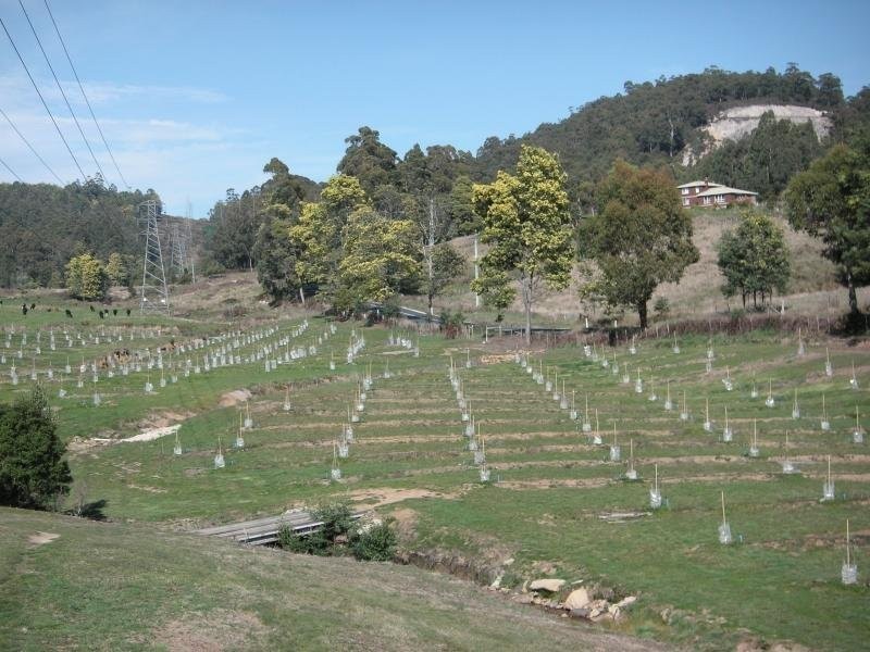 Acacia Hills TAS 7306