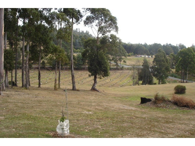 Acacia Hills TAS 7306