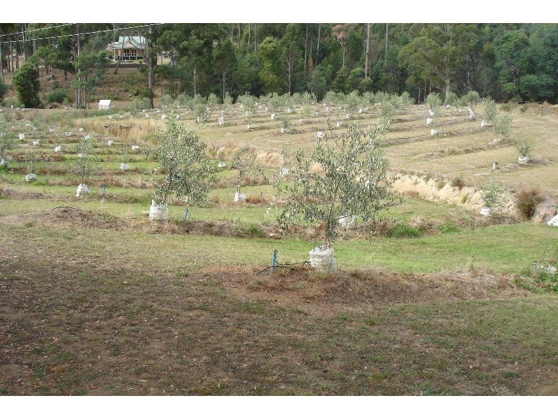 Acacia Hills TAS 7306