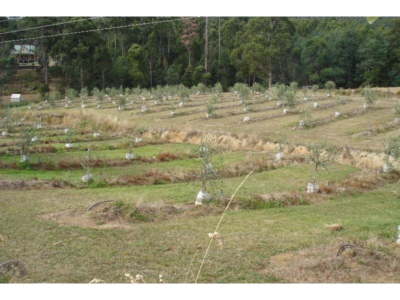 Acacia Hills TAS 7306