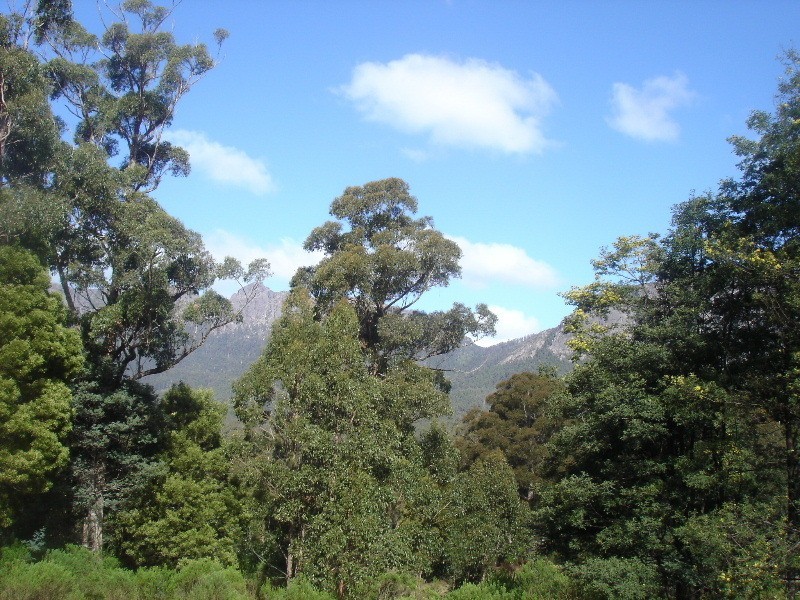 Gowrie Park TAS 7306