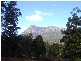 Gowrie Park TAS 7306