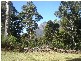 Gowrie Park TAS 7306