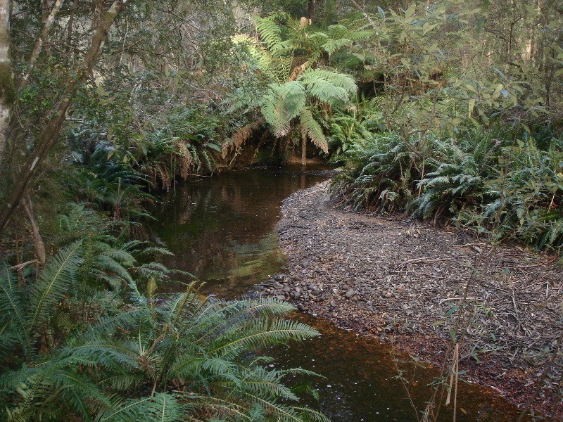 Gowrie Park TAS 7306