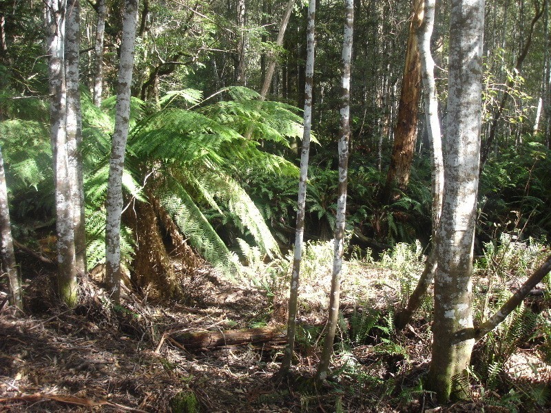 Gowrie Park TAS 7306