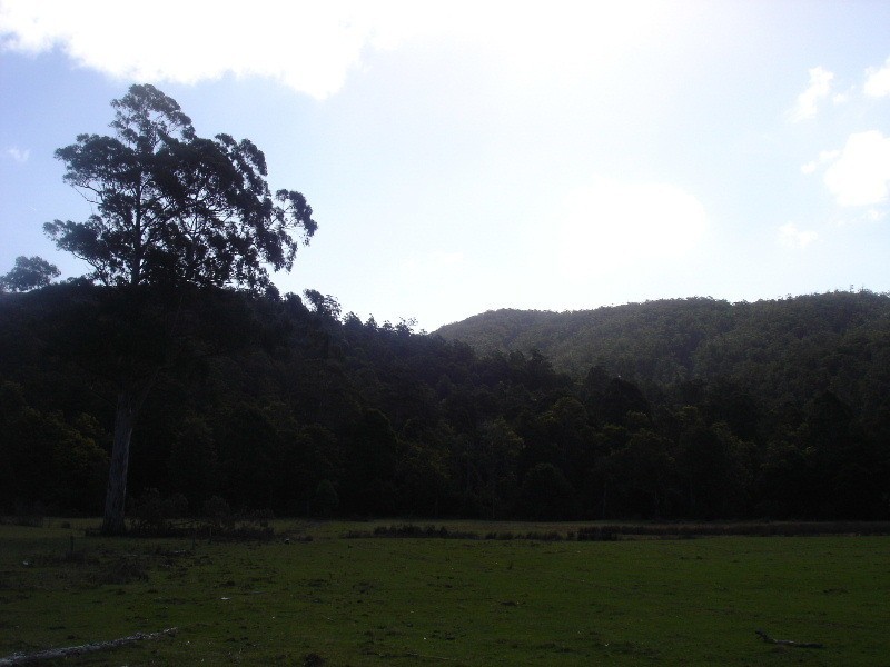 Gowrie Park TAS 7306