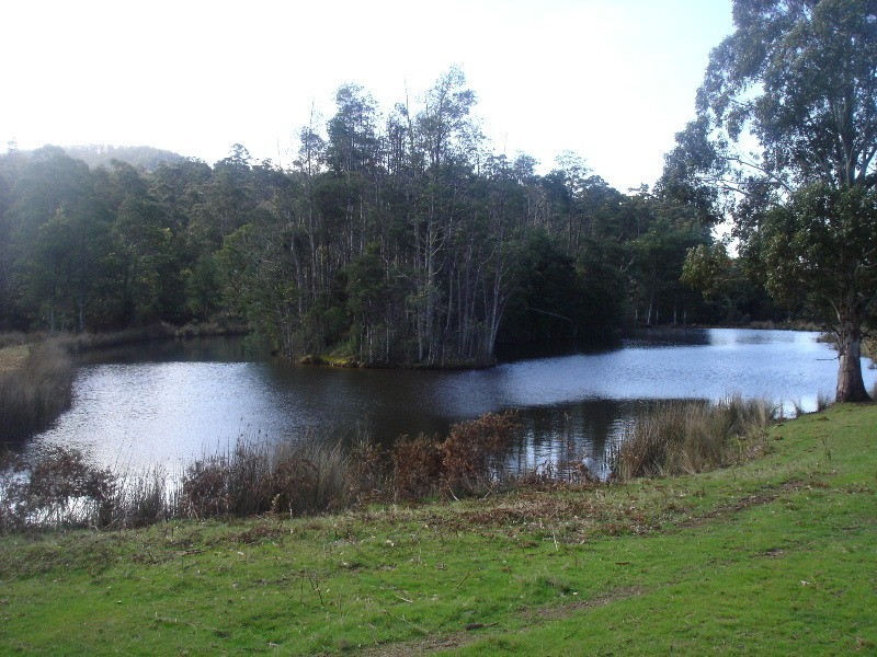 Gowrie Park TAS 7306