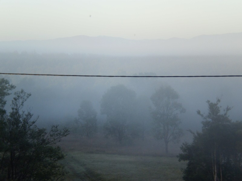 15 Frederick Street, North Rothbury NSW 2335