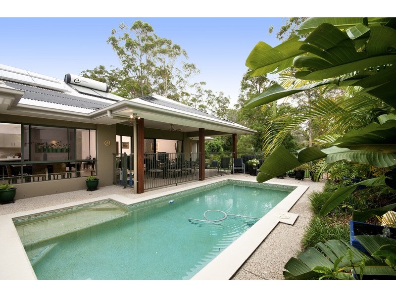 35 RIMMEL PLACE, Palmwoods QLD 4555