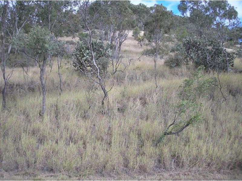 14 Linora Drive Gowrie Mountain, Toowoomba QLD 4350