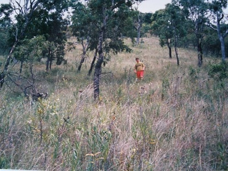 14 Linora Drive Gowrie Mountain, Toowoomba QLD 4350