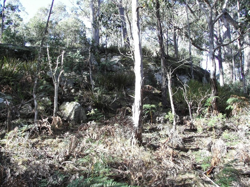 Lot 1 Pelham Road, Pelham TAS 7030