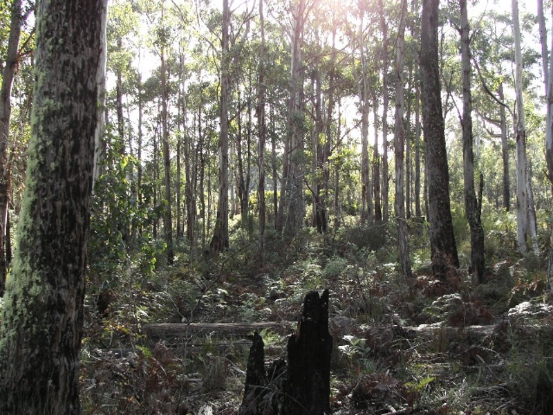 Lot 1 Pelham Road, Pelham TAS 7030