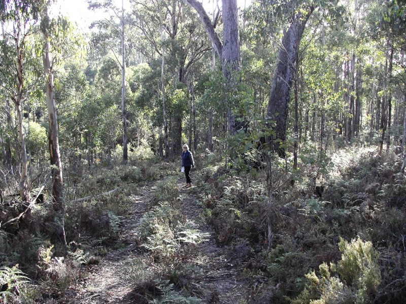 Lot 1 Pelham Road, Pelham TAS 7030