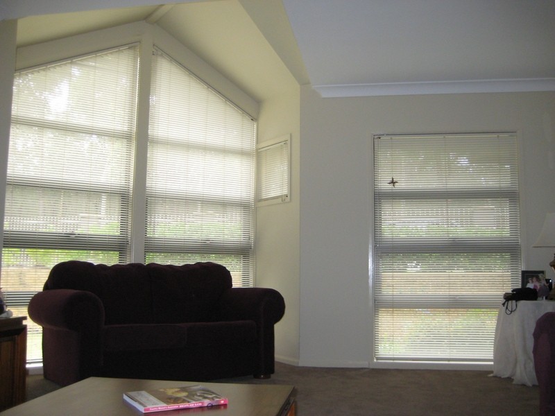 61 WORCESTER Drive, East Maitland NSW 2323