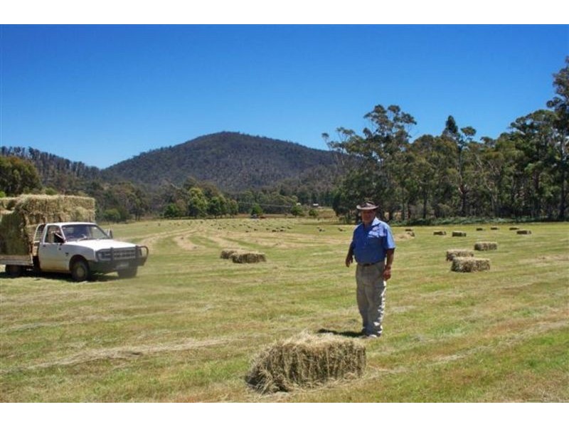 538  Kellevie Road, Kellevie TAS 7176