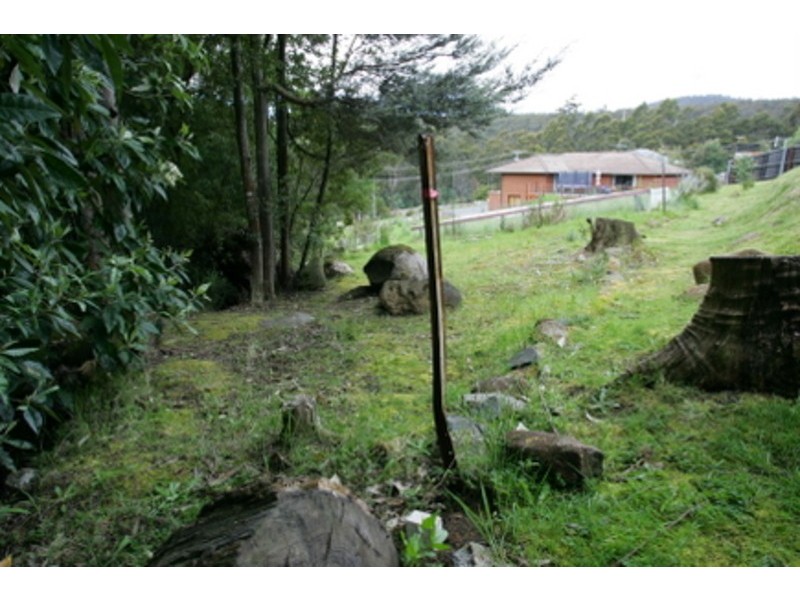 Lot 1/349 Strickland Avenue, South Hobart TAS 7004