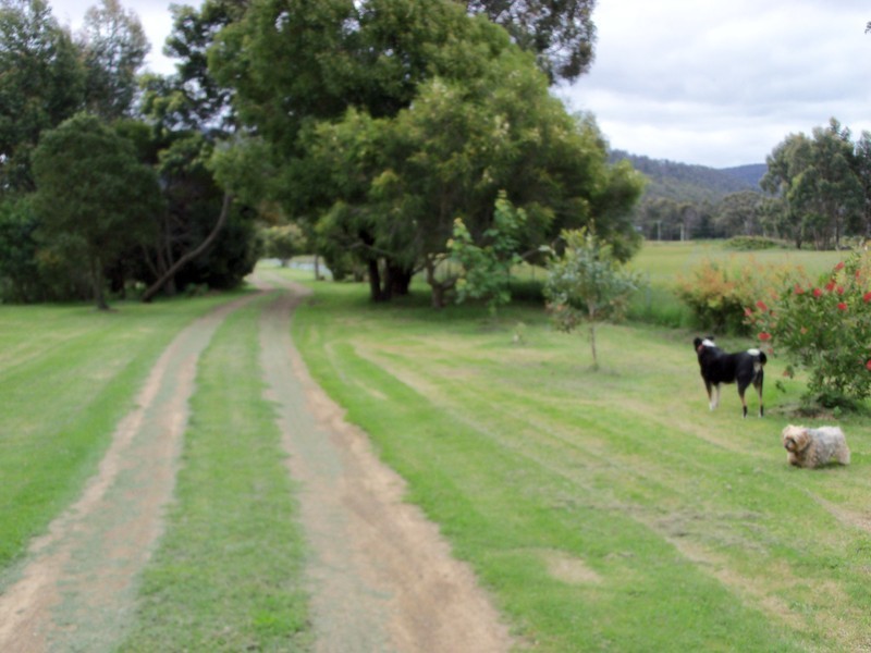 538 Kellevie Road, Kellevie TAS 7176