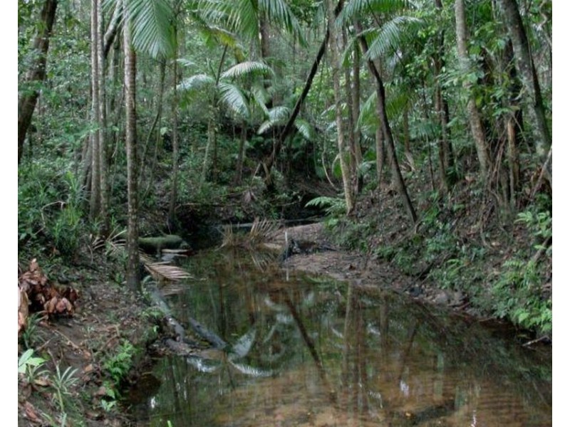 516 Owens Road, Martinsville NSW 2265