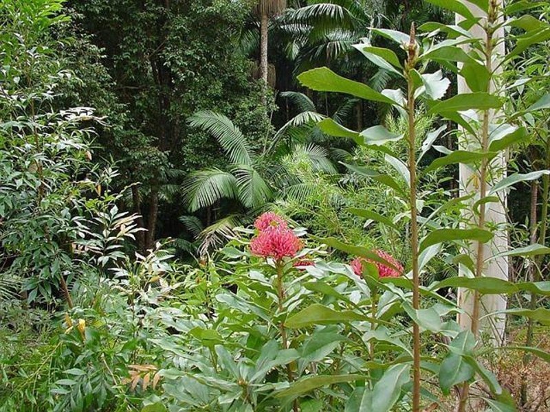 516 Owens Road, Martinsville NSW 2265