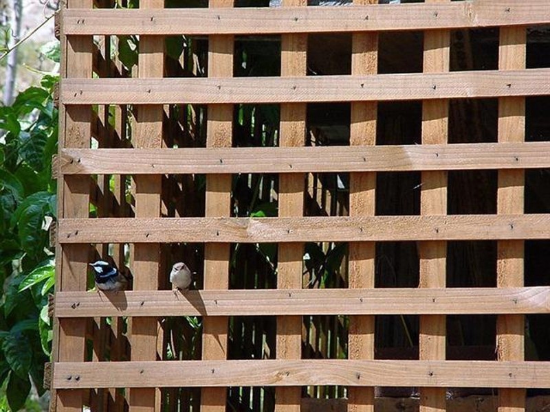 516 Owens Road, Martinsville NSW 2265