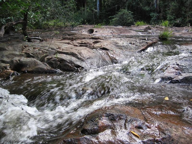 249 Waitui Road, Hannam Vale NSW 2443