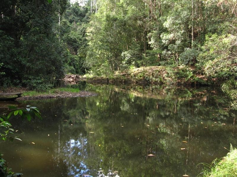 249 Waitui Road, Hannam Vale NSW 2443