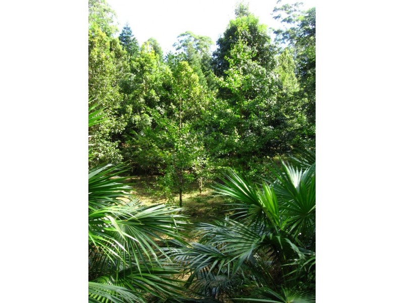 249 Waitui Road, Hannam Vale NSW 2443