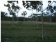821 Pacific Drive, Baffle Creek QLD 4674