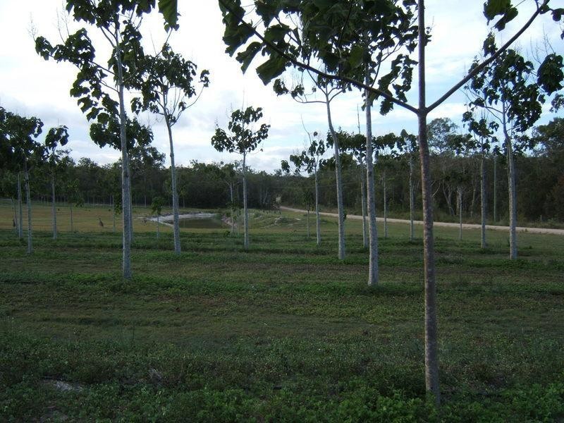 821 Pacific Drive, Baffle Creek QLD 4674