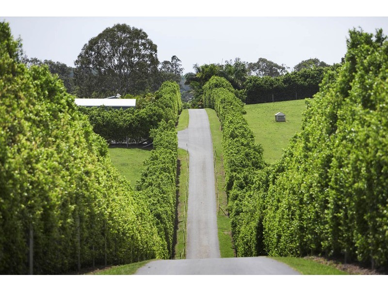 491 Cooroy Mountain Road, Cooroy Mountain QLD 4563