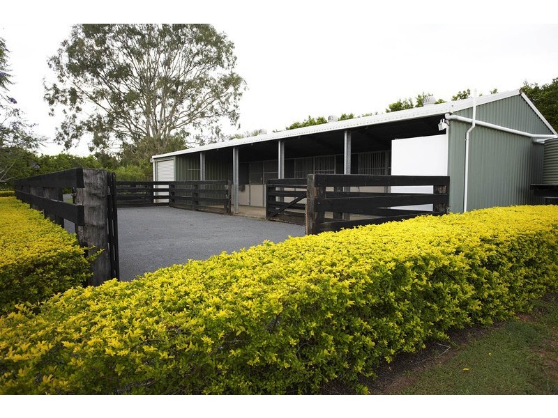 491 Cooroy Mountain Road, Cooroy Mountain QLD 4563