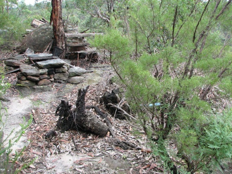 49 Florabella Street, Warrimoo NSW 2774