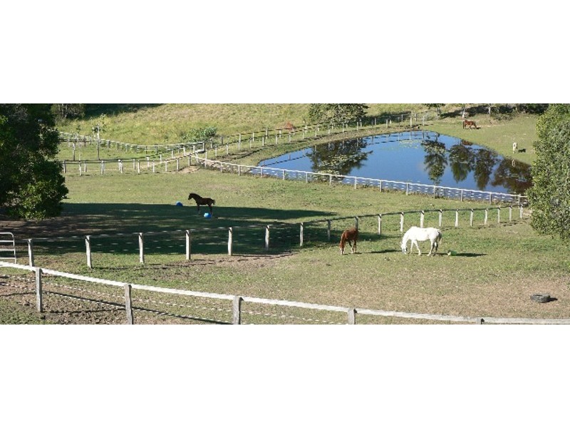 19 Flindersia Dr, Cooran QLD 4569