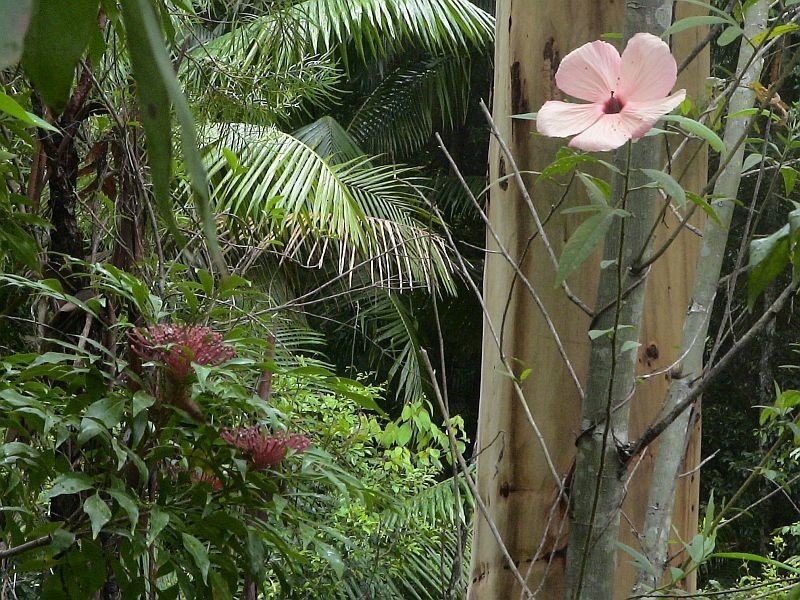 Martinsville NSW 2265