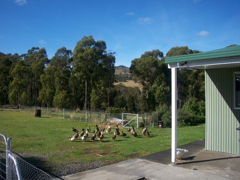 58  Franklin Road, Kellevie TAS 7176