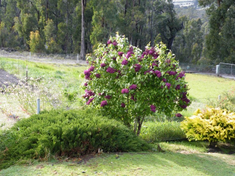 58  Franklin Road, Kellevie TAS 7176