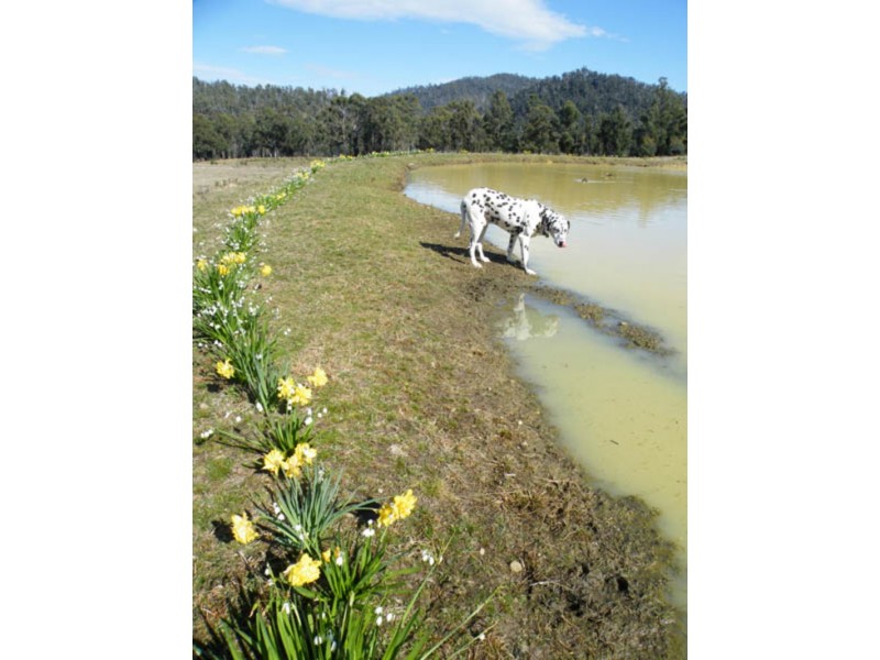 58  Franklin Road, Kellevie TAS 7176