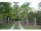 21 Pademelon Court, Greenbank QLD 4124