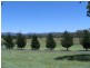 365 – 369 Timor Road or John Renshaw Parkway, Coonabarabran NSW 2357