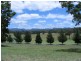 365 – 369 Timor Road or John Renshaw Parkway, Coonabarabran NSW 2357