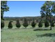 365 – 369 Timor Road or John Renshaw Parkway, Coonabarabran NSW 2357