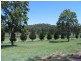 365 – 369 Timor Road or John Renshaw Parkway, Coonabarabran NSW 2357