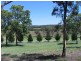 365 – 369 Timor Road or John Renshaw Parkway, Coonabarabran NSW 2357