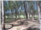 401 Timor Road, Coonabarabran NSW 2357