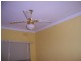 Picola VIC 3639
