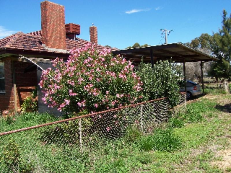 Picola VIC 3639