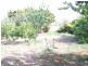 Picola VIC 3639