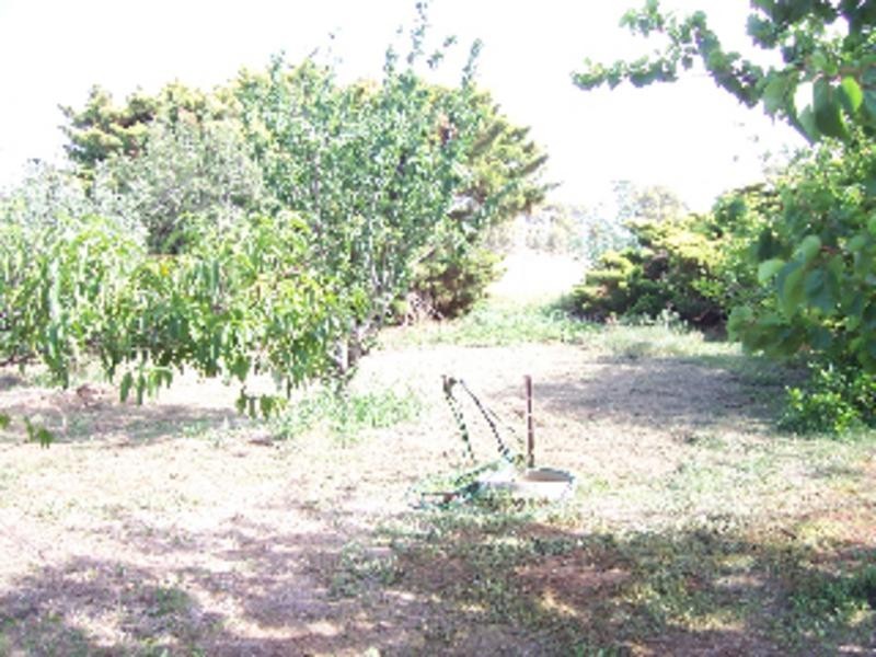 Picola VIC 3639